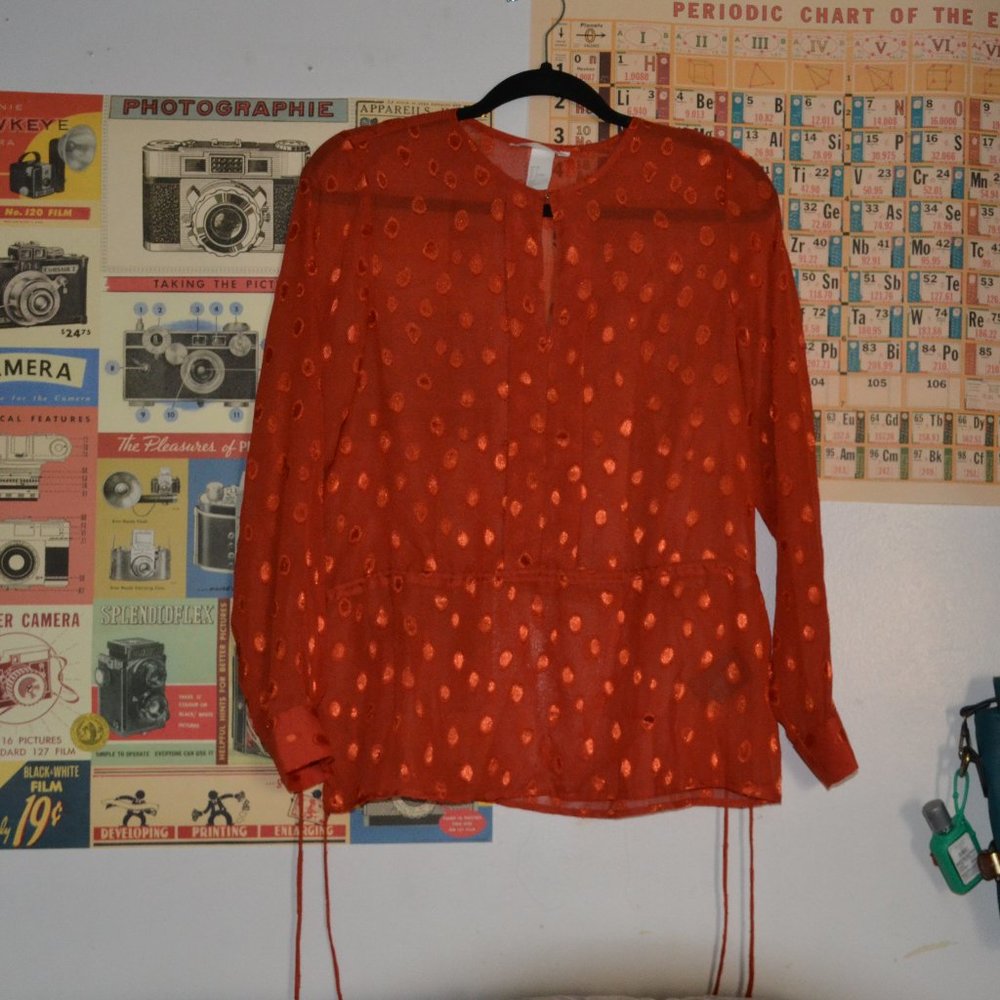 H&M Sheer Top